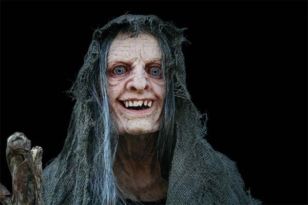 Сонник стара відьма: до чого сниться і що означає сон?