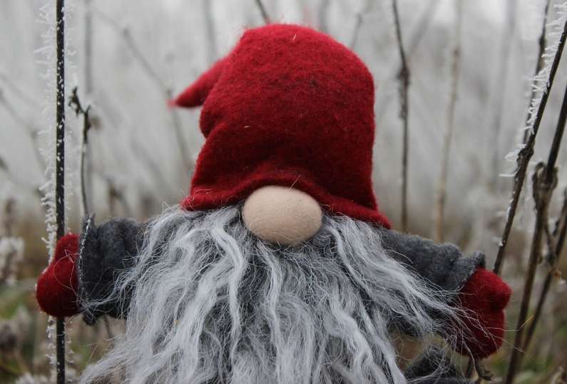 До чого сниться домовій жінці?