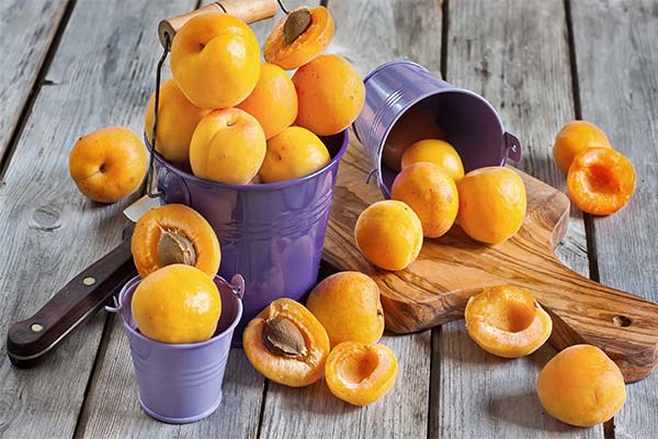 До чого сняться абрикоси жінці чи чоловікові - 58 тлумачень із різних сонників.