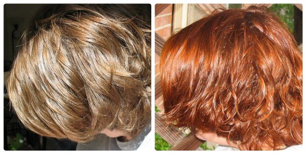 50 відтінків рудого: фарбування волосся хною. Фото ДІ та ПІСЛЯ