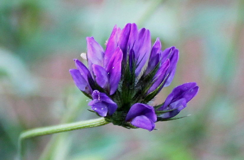Як вибрати косметику з ретинолом і коли нею краще користуватися: рекомендації хіміка та косметолога