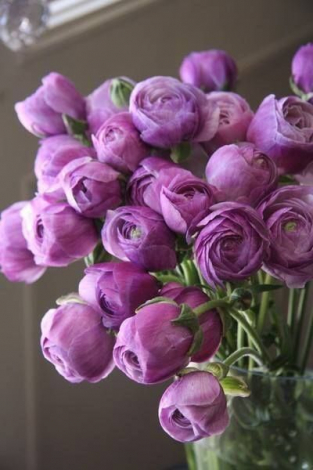 Кращі привітання молодятам у прозі, українською мовою