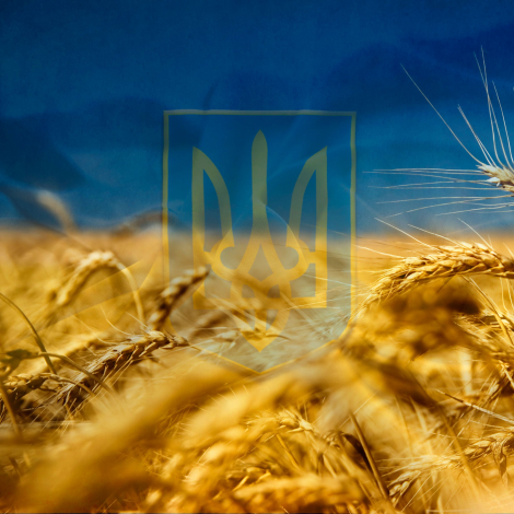 Красиві привітання з 23 лютого простими словами