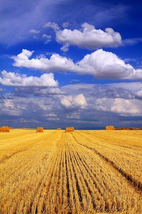 СМС привітання з Днем захисника України до сліз