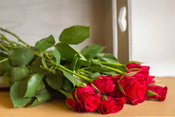 До чого сниться букет квітів жінці чи чоловікові — 58 тлумачень із різних сонників.