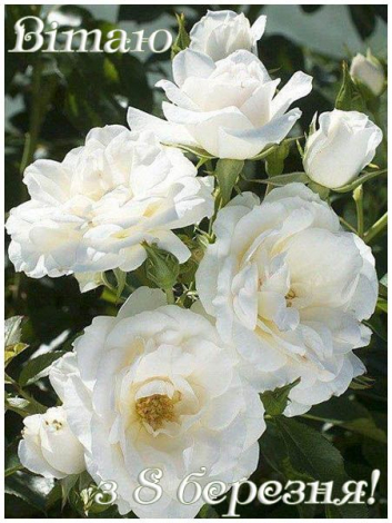 Кращі привітання з 8 Березня своїми словами