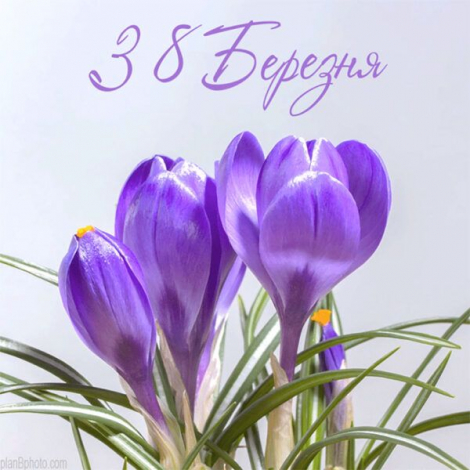 Кращі привітання з 8 Березня своїми словами