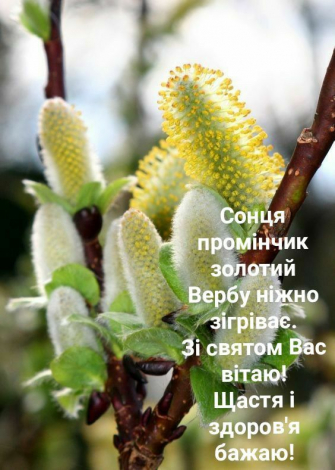 Зворушливі привітання з Вербною неділею своїми словами, до сліз
