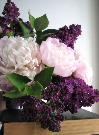 Щирі компліменти до фотографій дівчині своїми словами, до сліз