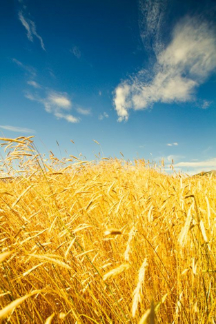 Зворушливі привітання з 23 лютого своїми словами, у прозі