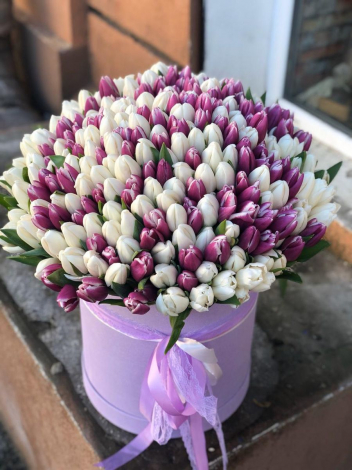 Привітання на День зустрічі однокласників до сліз