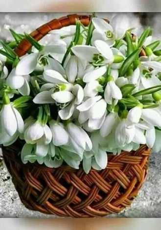 Найкращі привітання з Андрієм своїми словами, у прозі