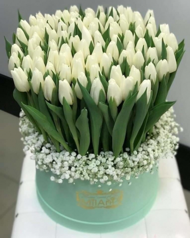 Найкращі привітання на День зустрічі випускників простими словами