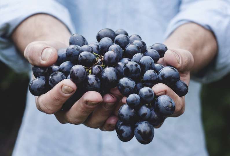 Навіщо сниться виноград уві сні жінці?