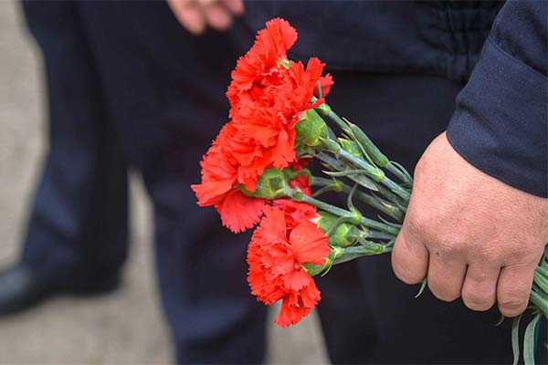 До чого сняться гвоздики жінці чи чоловікові — 58 тлумачень із різних сонників.