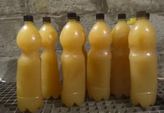 Домашнє пиво - 12 простих рецептів у домашніх умовах