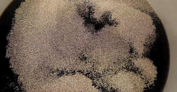 Домашнє пиво - 12 простих рецептів у домашніх умовах