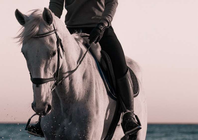 До чого сниться кінь чоловікові: білий, чорний, коричневий