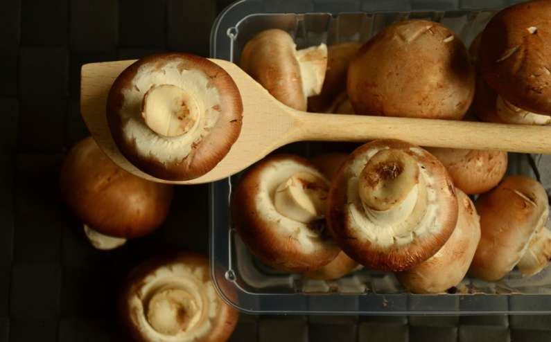 До чого сняться гриби уві сні чоловікові?