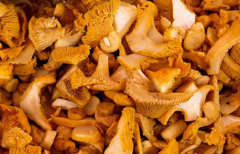 До чого сняться гриби уві сні чоловікові?