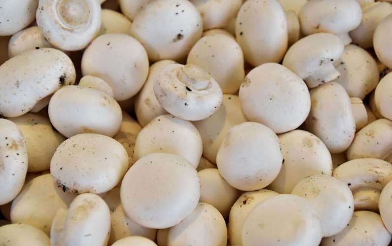 До чого сняться гриби уві сні чоловікові?