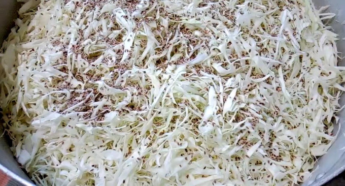 Квашена капуста на зиму – 13 рецептів хрумкої та соковитої капусти