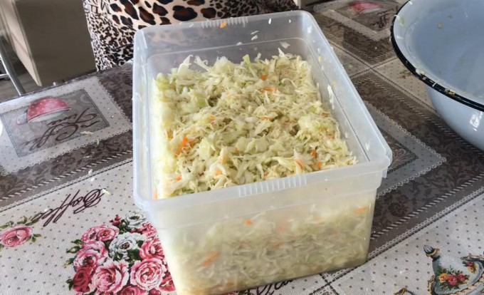 Квашена капуста на зиму – 13 рецептів хрумкої та соковитої капусти