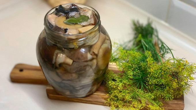 Мариновані маслюки на зиму - 12 найсмачніших рецептів