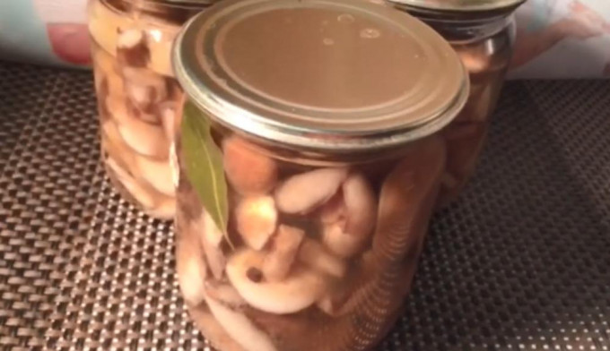 Мариновані маслюки на зиму - 12 найсмачніших рецептів