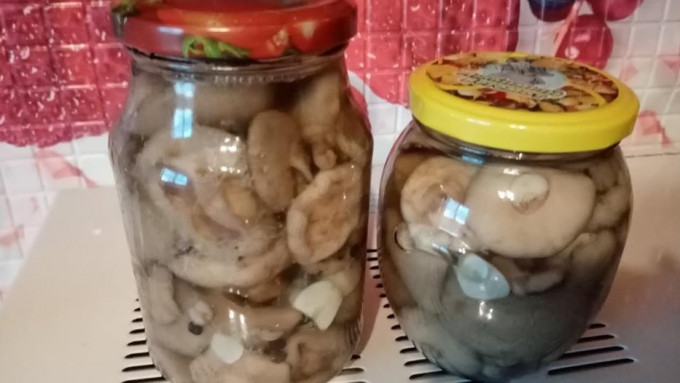 Мариновані маслюки на зиму - 12 найсмачніших рецептів