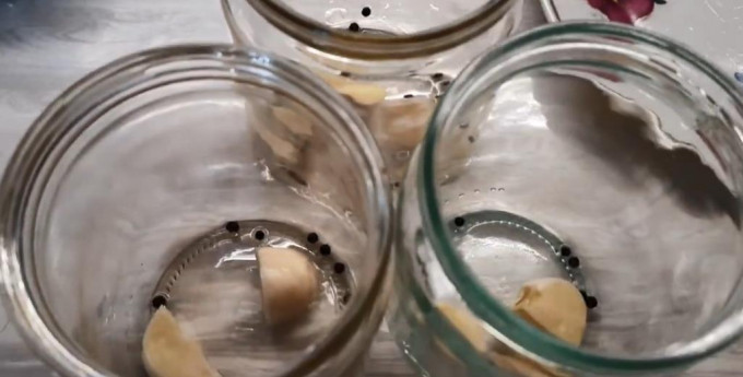 Мариновані маслюки на зиму - 12 найсмачніших рецептів