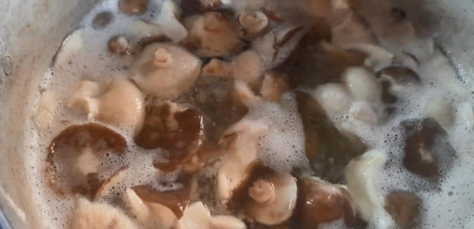 Мариновані маслюки на зиму - 12 найсмачніших рецептів