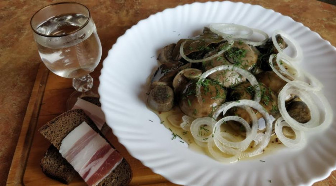 Мариновані маслюки на зиму - 12 найсмачніших рецептів