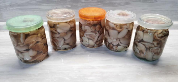 Мариновані маслюки на зиму - 12 найсмачніших рецептів