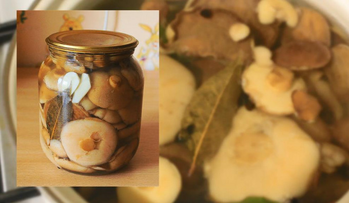 Мариновані маслюки на зиму - 12 найсмачніших рецептів