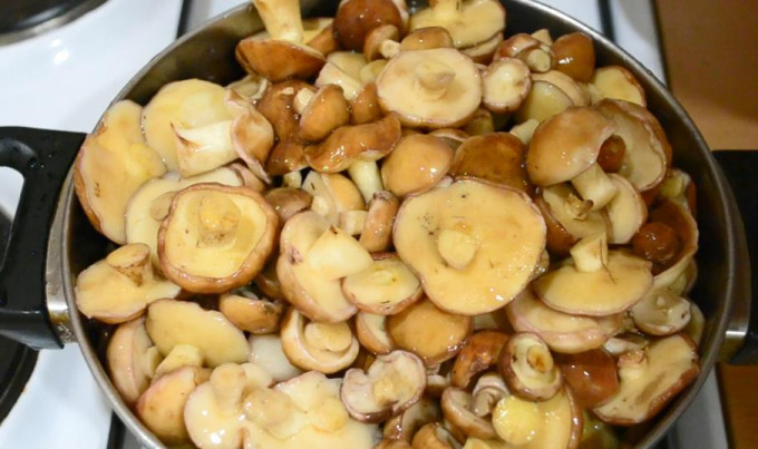 Мариновані маслюки на зиму - 12 найсмачніших рецептів