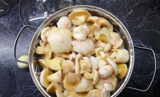 Мариновані маслюки на зиму - 12 найсмачніших рецептів