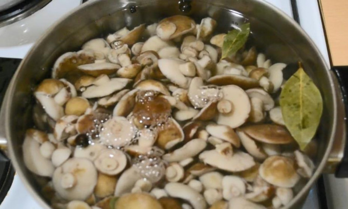 Мариновані маслюки на зиму - 12 найсмачніших рецептів