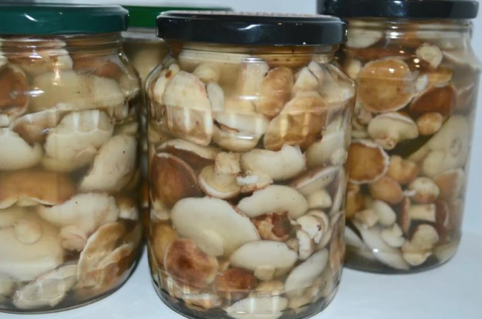 Мариновані маслюки на зиму - 12 найсмачніших рецептів