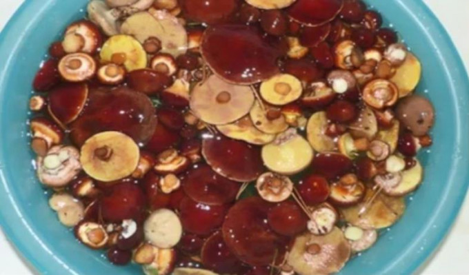 Мариновані маслюки на зиму - 12 найсмачніших рецептів