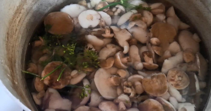 Мариновані маслюки на зиму - 12 найсмачніших рецептів