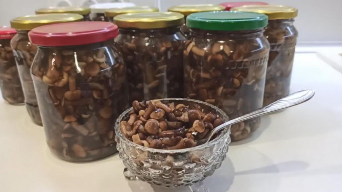 Мариновані опеньки на зиму – 11 найсмачніших рецептів приготування