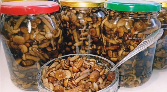Мариновані опеньки на зиму – 11 найсмачніших рецептів приготування