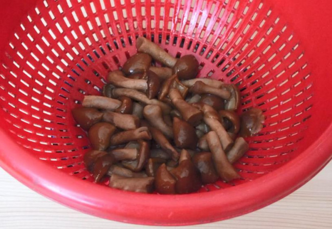 Мариновані опеньки на зиму – 11 найсмачніших рецептів приготування