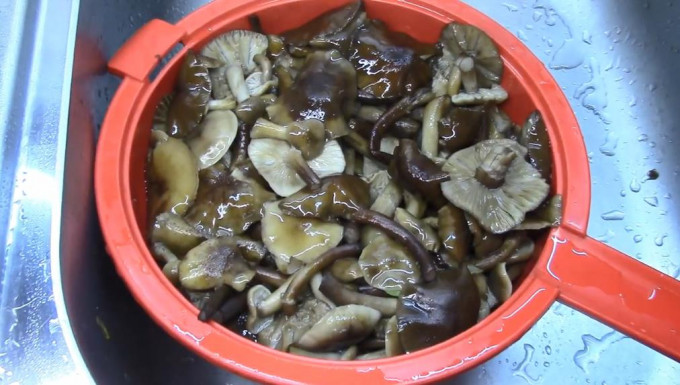 Мариновані опеньки на зиму – 11 найсмачніших рецептів приготування