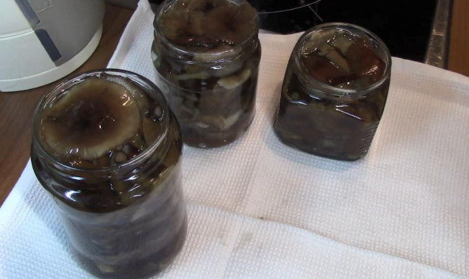 Мариновані опеньки на зиму – 11 найсмачніших рецептів приготування