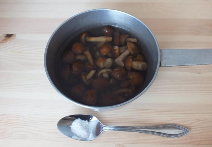 Мариновані опеньки на зиму – 11 найсмачніших рецептів приготування