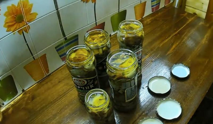 Мариновані опеньки на зиму – 11 найсмачніших рецептів приготування