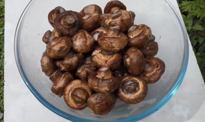 Печериці на мангалі - 12 рецептів маринаду для шашлику з грибів