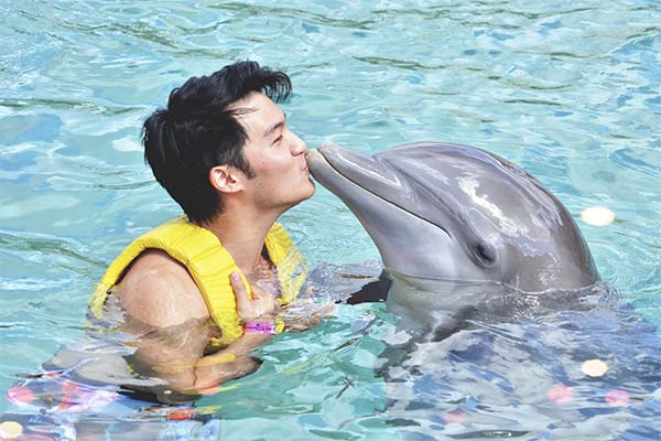 До чого сняться дельфіни жінці чи чоловікові - 65 тлумачень із різних сонників.